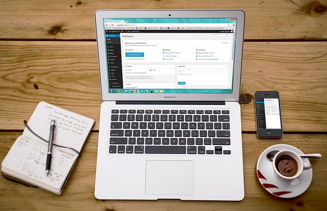 newyork city seo